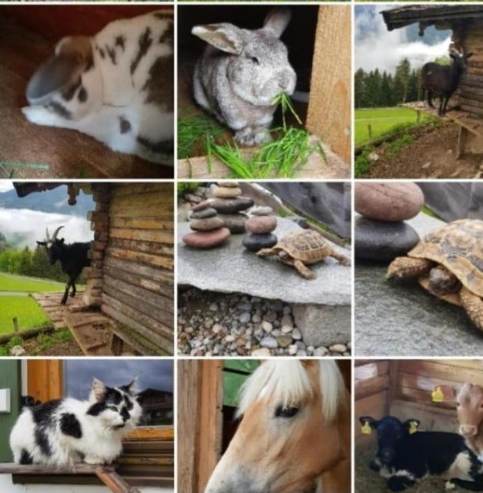 Ettlerlehen Chalets ラムサウ エクステリア 写真