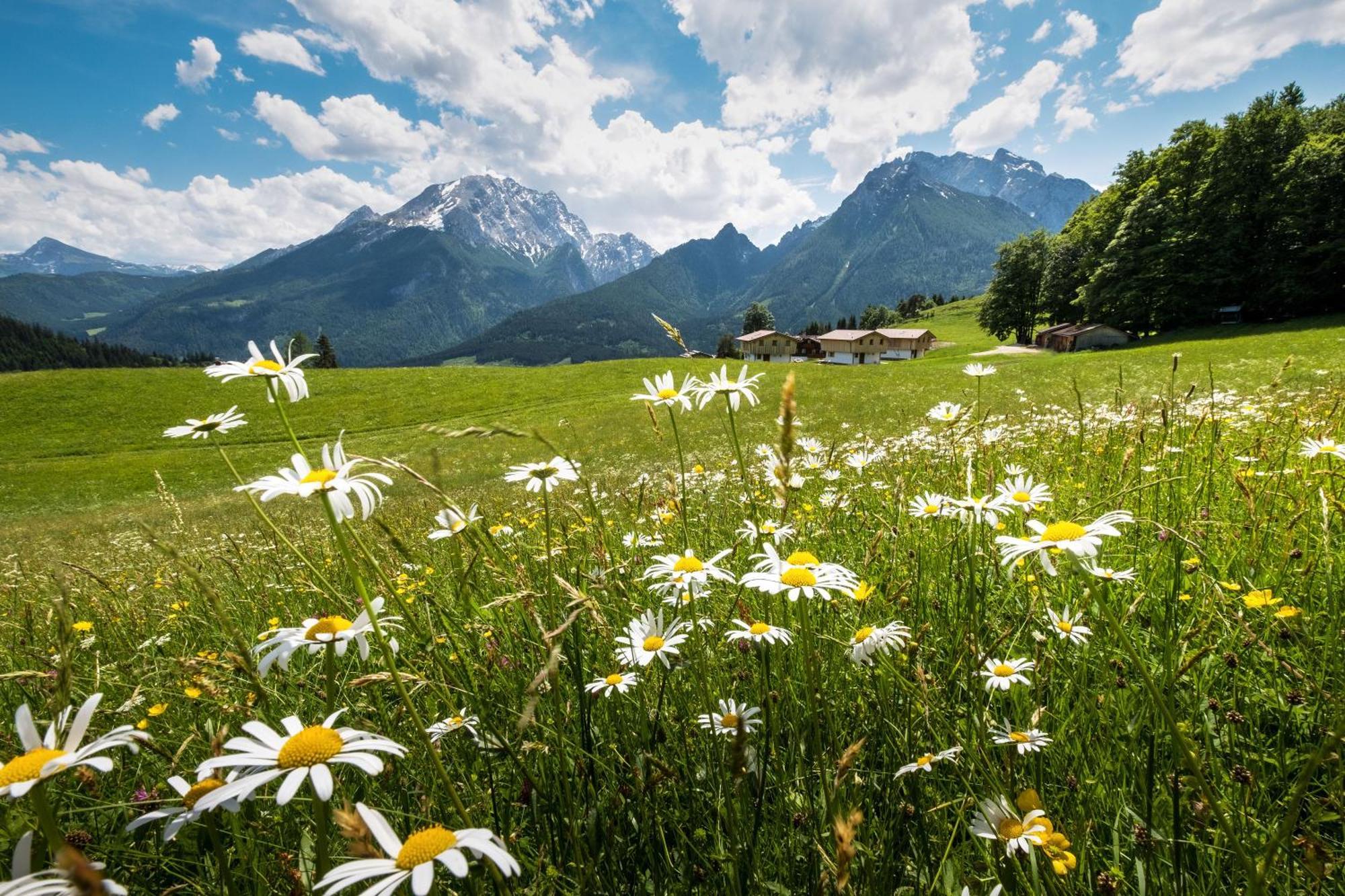 Ettlerlehen Chalets ラムサウ エクステリア 写真
